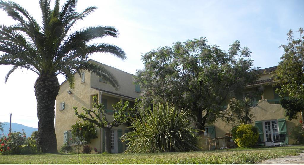 Auberge Les Oliviers Lucciana  Exteriér fotografie