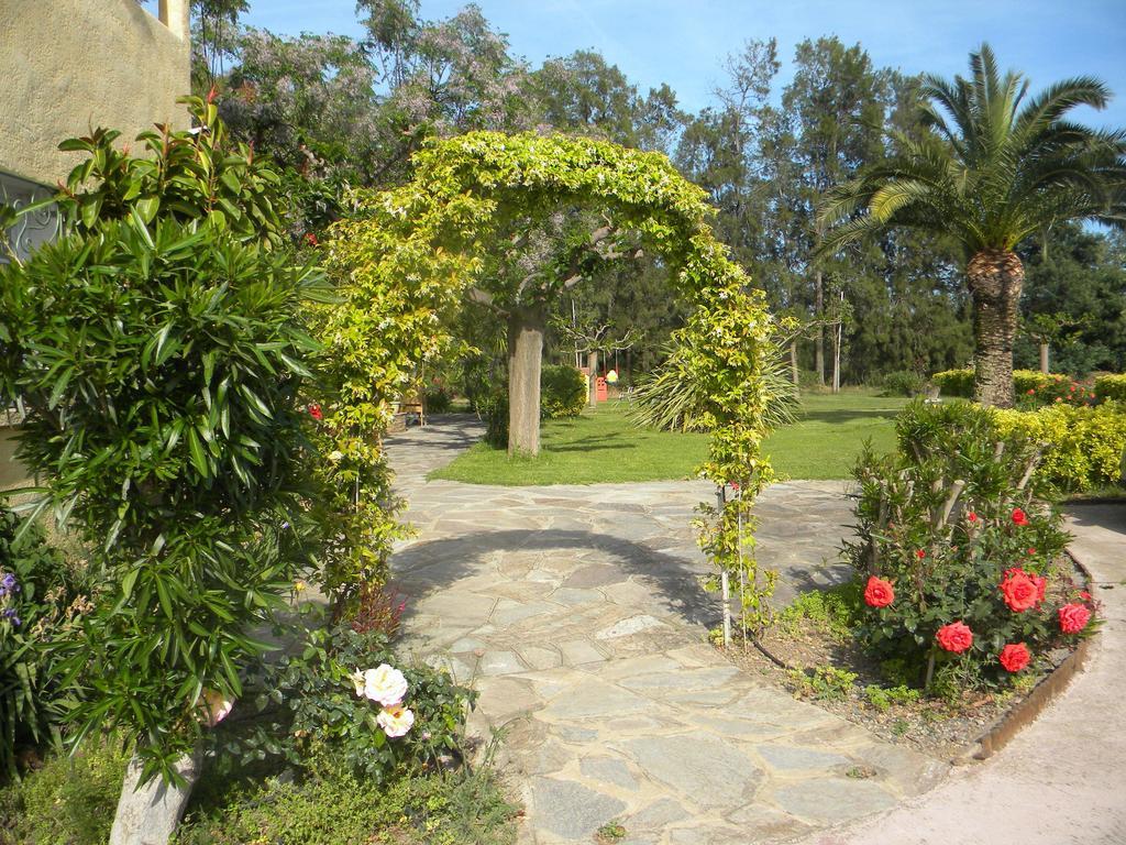 Auberge Les Oliviers Lucciana  Exteriér fotografie