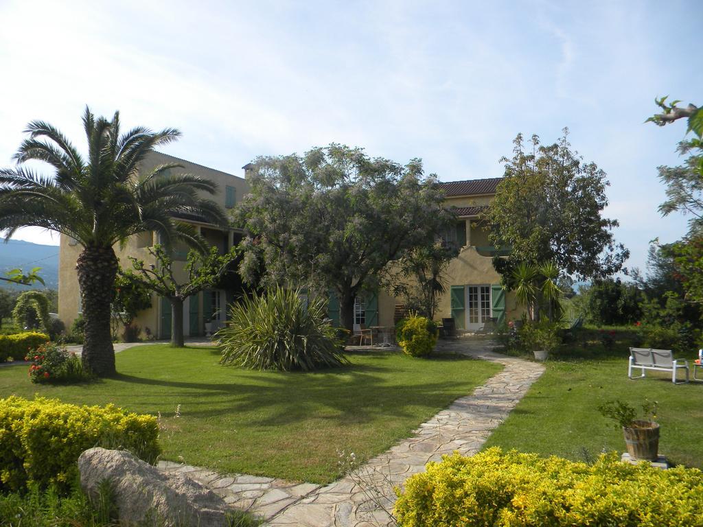Auberge Les Oliviers Lucciana  Exteriér fotografie